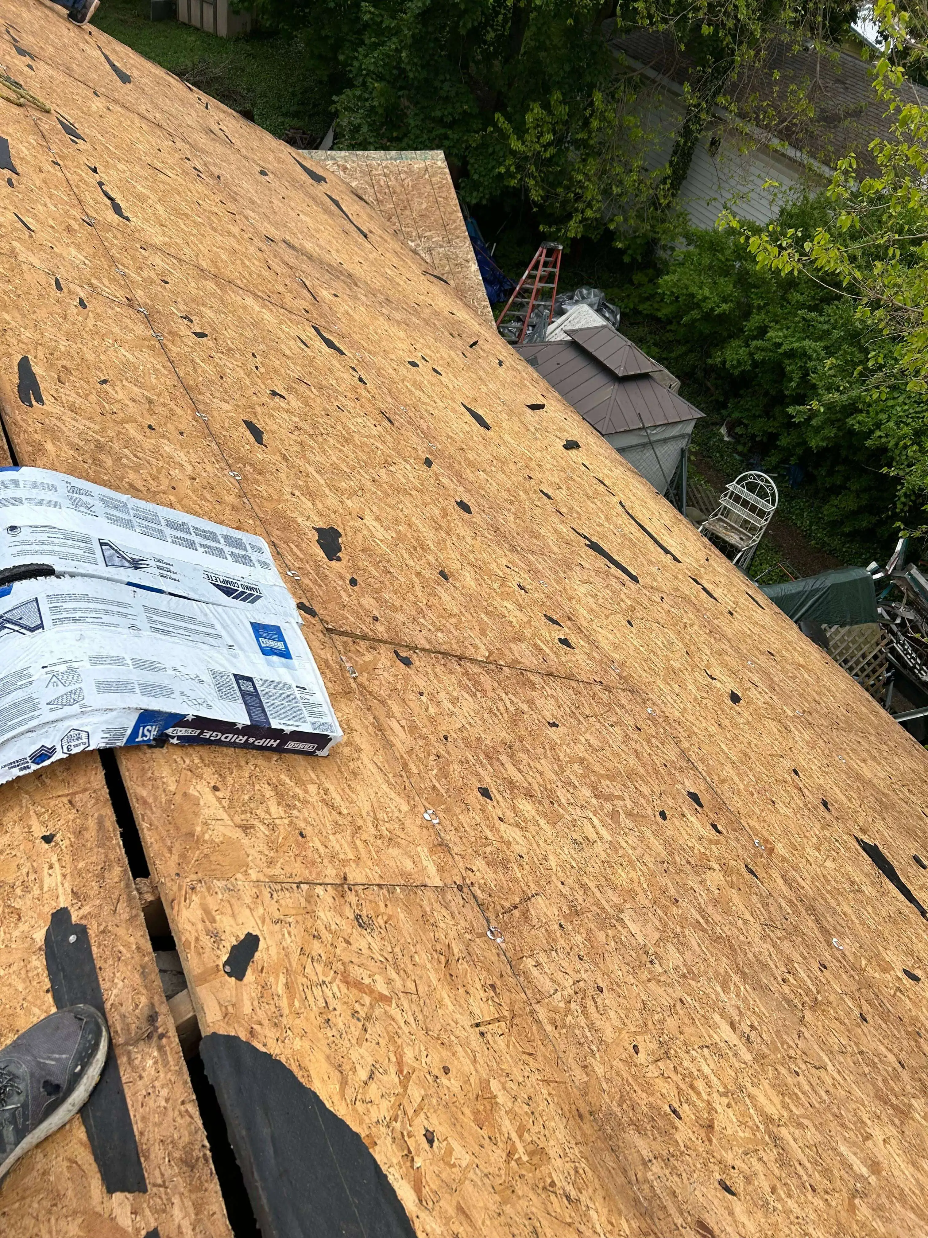 Professional Roof Replacement - Image 4