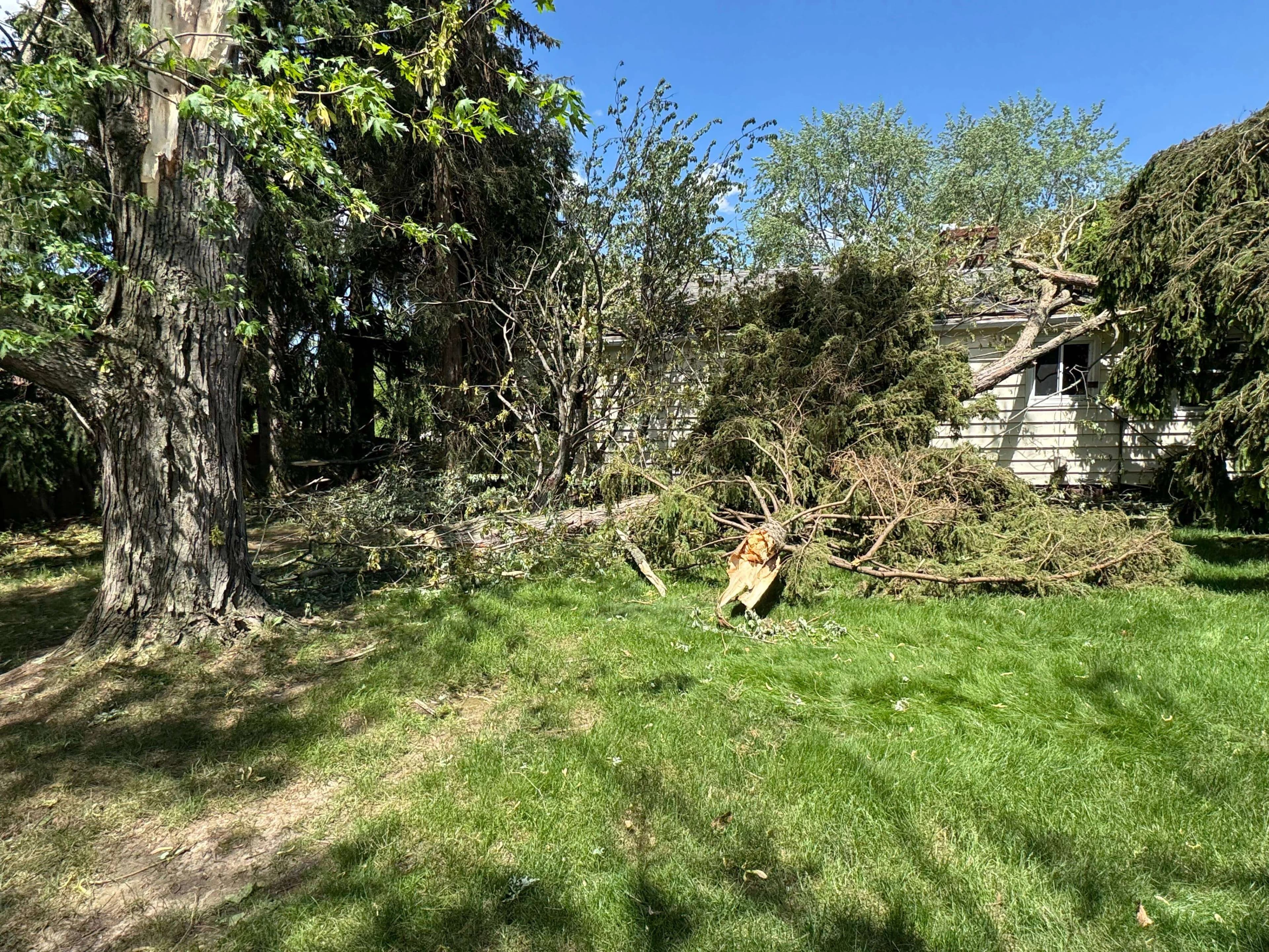 Emergency Storm Damage Repair - Image 4